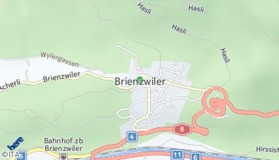 Standort Brienzwiler (BE)