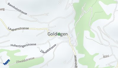 Standort Goldingen (SG)
